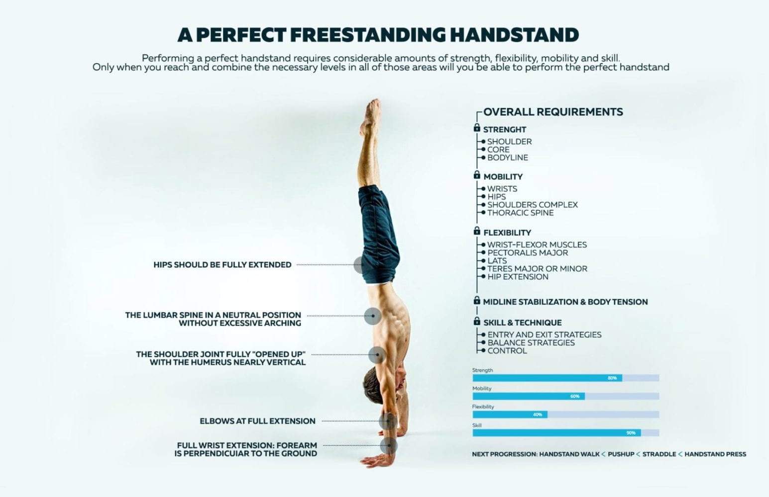 calisthenics handstand infographic