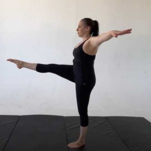 BWTA Lifting leg