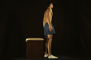 Box Squats