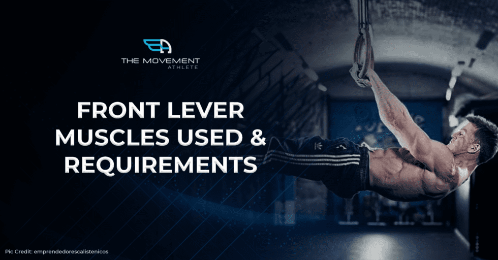 Front Lever Muscles Used and Requirements The Movement Athlete