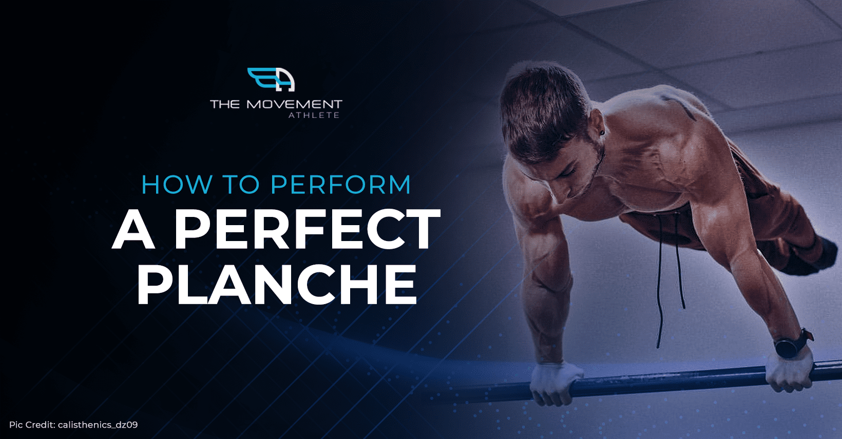How to perform a perfect planche - The Movement Athlete