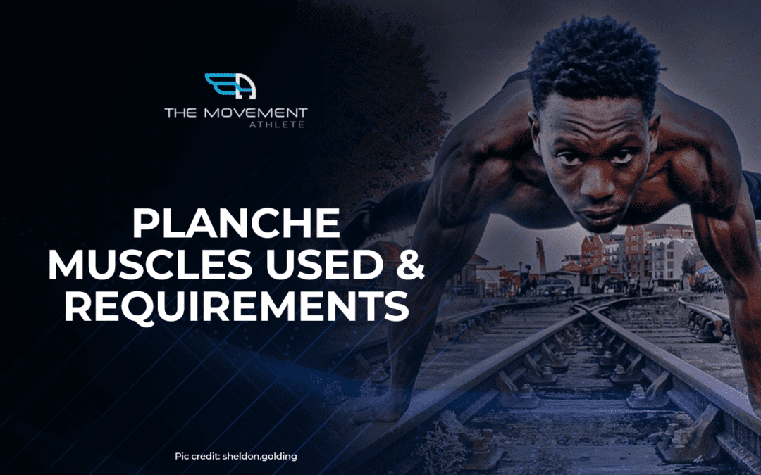 Planche – Muscle used and Requirements