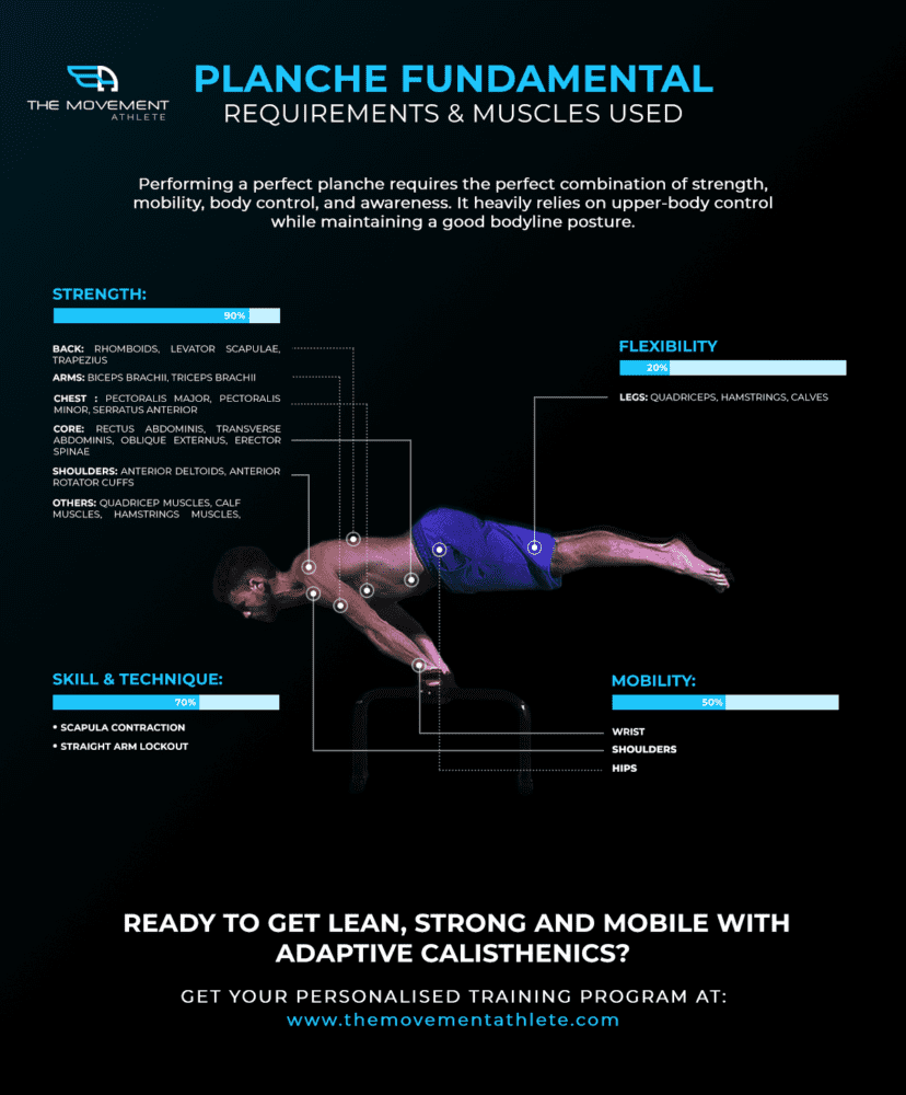 planche-muscle-used-and-requirements-the-movement-athlete