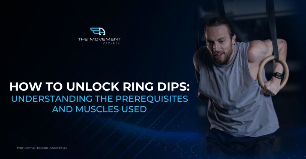 Ring Dips Muscles Used and Prerequisites The Movement Athlete