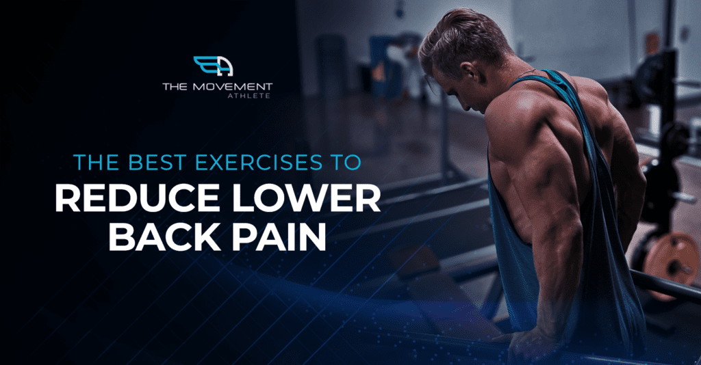 The Best Exercises To Reduce Lower Back Pain - The Movement Athlete