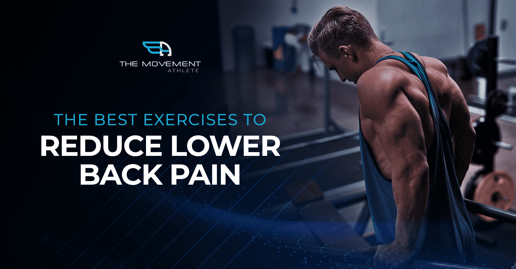 The Best Exercises To Reduce Lower Back Pain The Movement Athlete