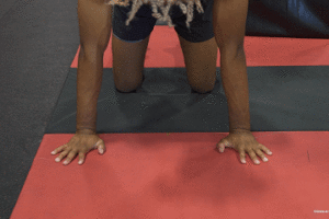 Wrist Pushups